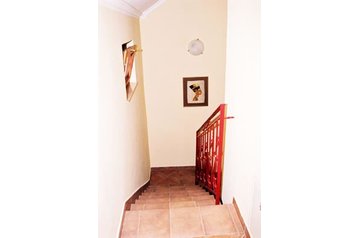 Serbia Privát Novi Sad, Eksteriør